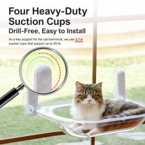 Transparent Foldable Cat Window Bed