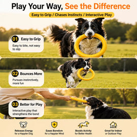 Silicone Ring Fetch and Tug Toy for Dogs