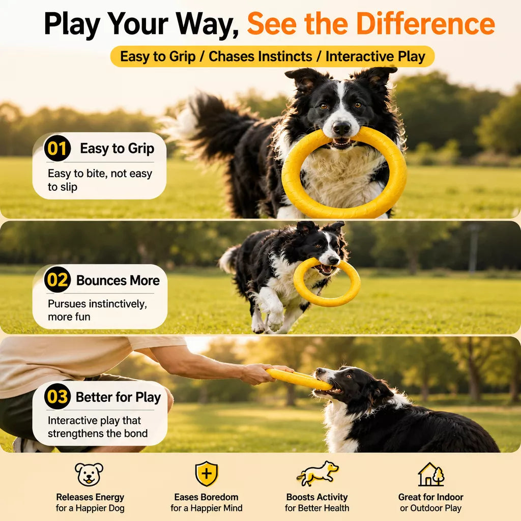 Silicone Ring Fetch and Tug Toy for Dogs
