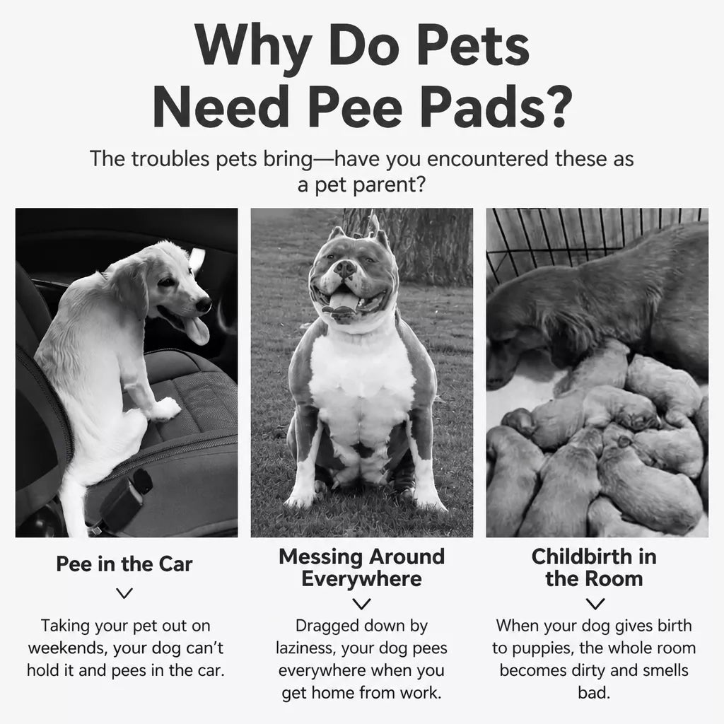 Thick Absorbent Pet Potty Training Pads for Dogs, Cats & Rabbits