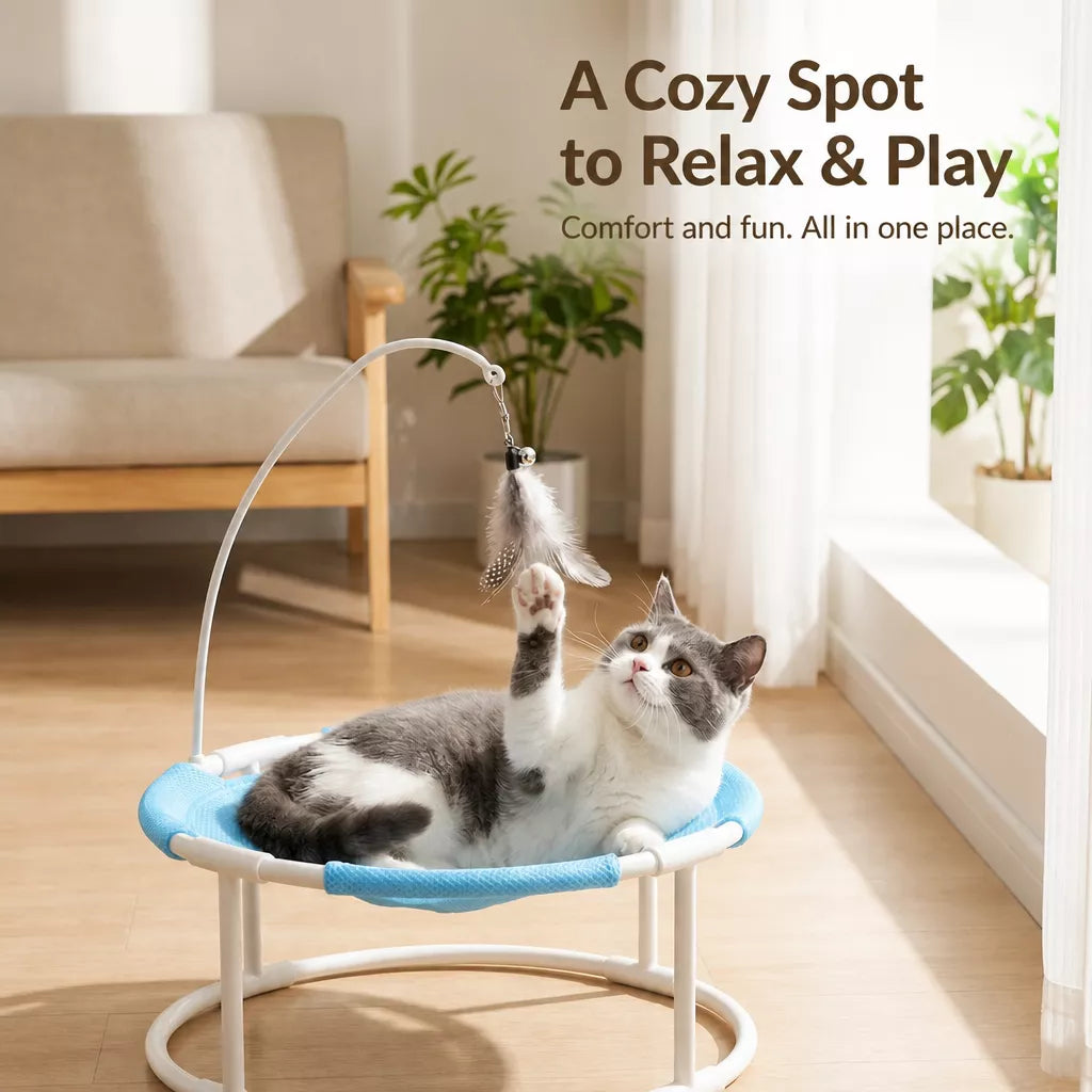 Round Pet Bed with Hanging Toy