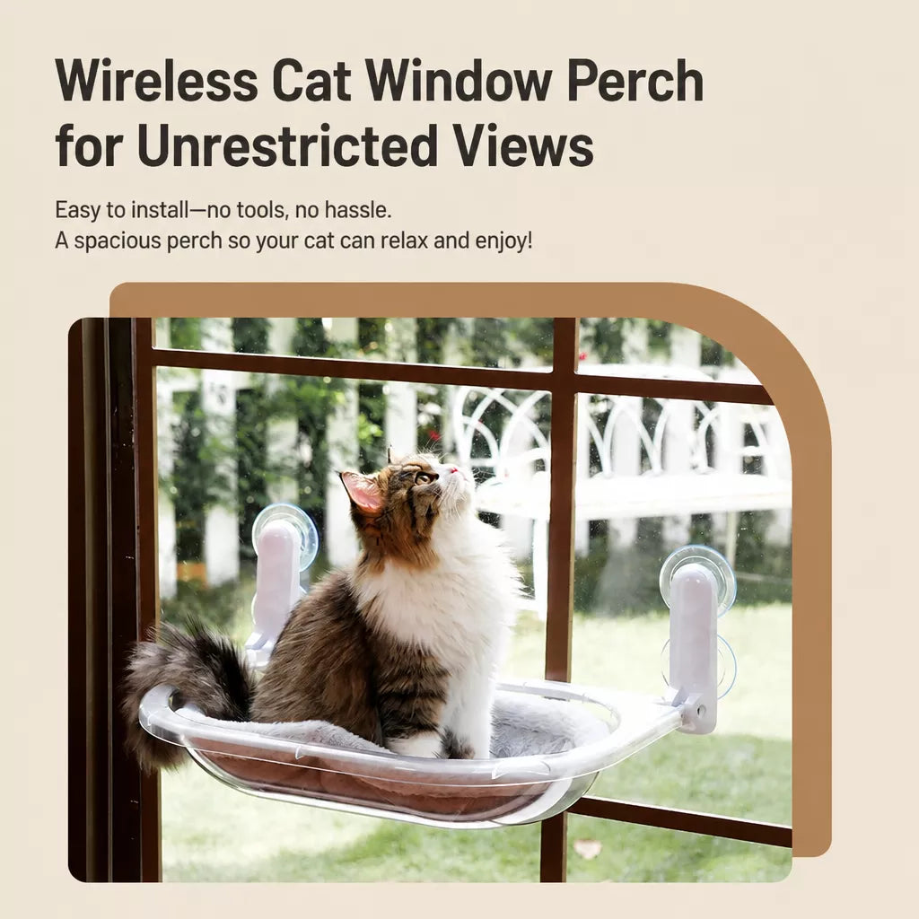 Transparent Foldable Cat Window Bed