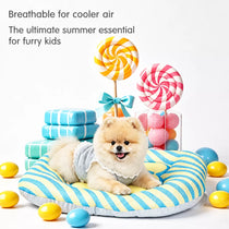 Removable Washable All-Season Pet Bed for Cats & Dogs