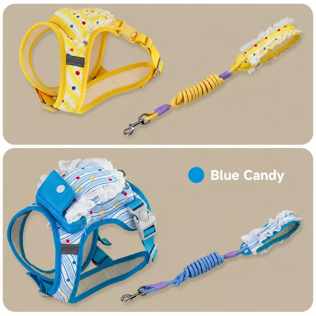 Polyester Dog Harness and Leash Set for Everyday Walks