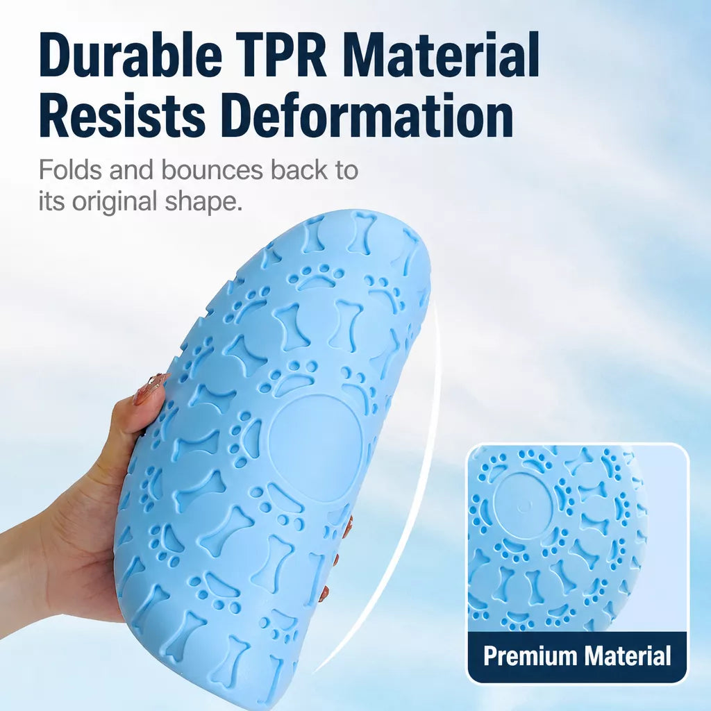Soft TPR Disc Dog Toy for Outdoor Training