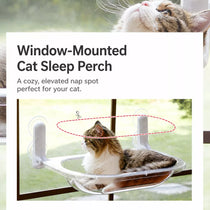 Transparent Foldable Cat Window Bed