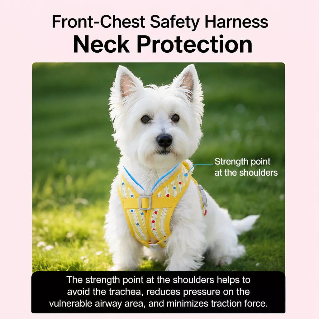 Polyester Dog Harness and Leash Set for Everyday Walks