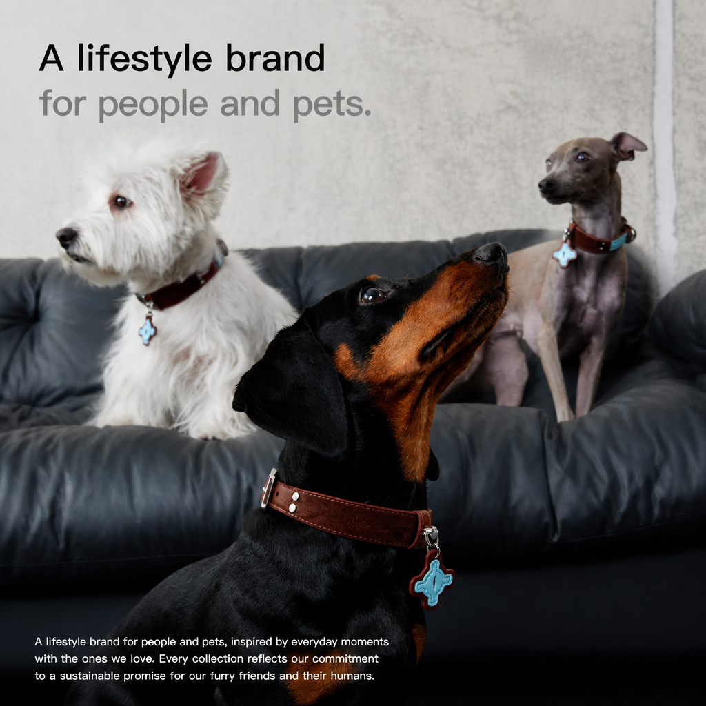 Brown Faux Leather Dog Collar with Blue Accent Charm