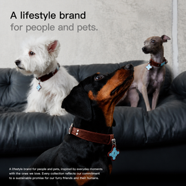 Brown Faux Leather Dog Collar with Blue Accent Charm