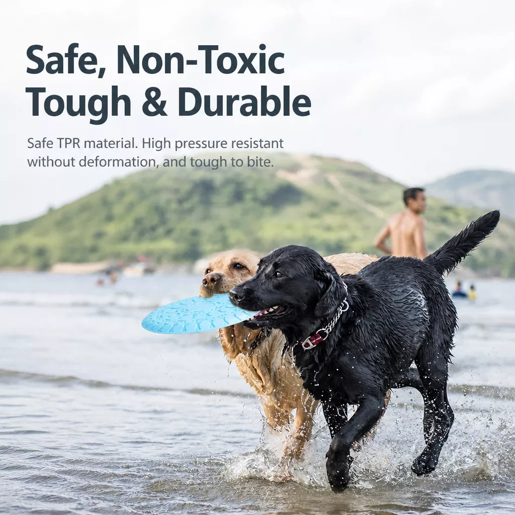 Soft TPR Disc Dog Toy for Outdoor Training