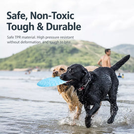 Soft TPR Disc Dog Toy for Outdoor Training