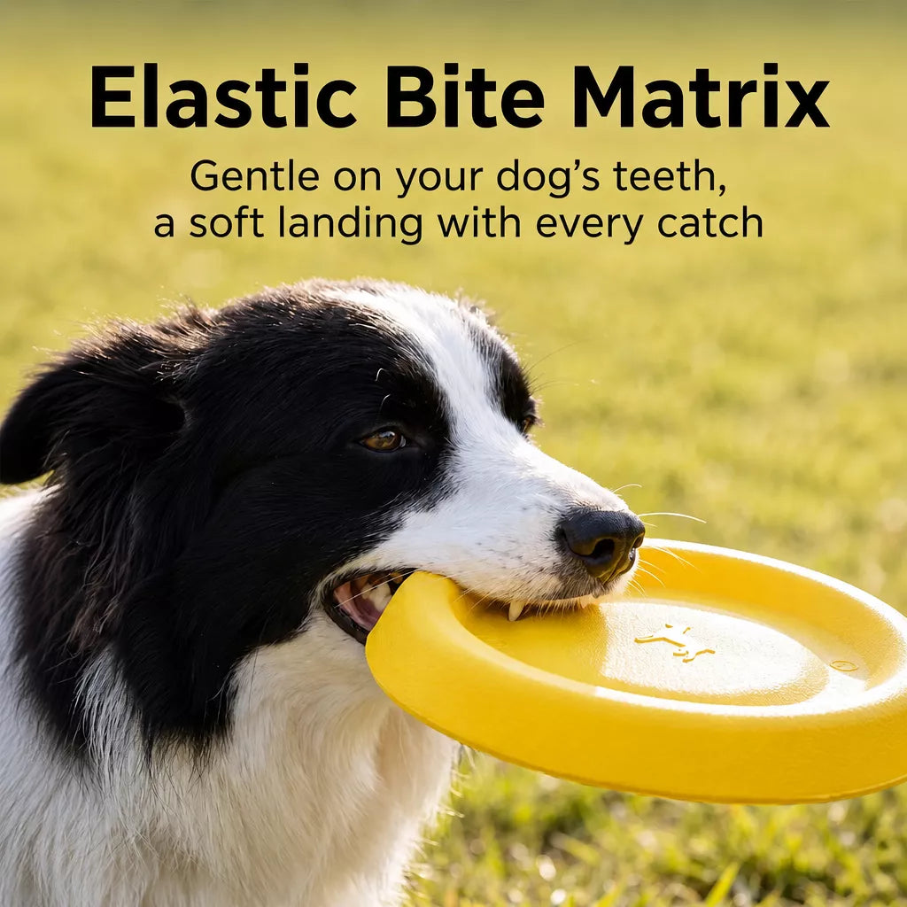 Dog Flying Disc and Tug Toy for Medium and Large Dogs