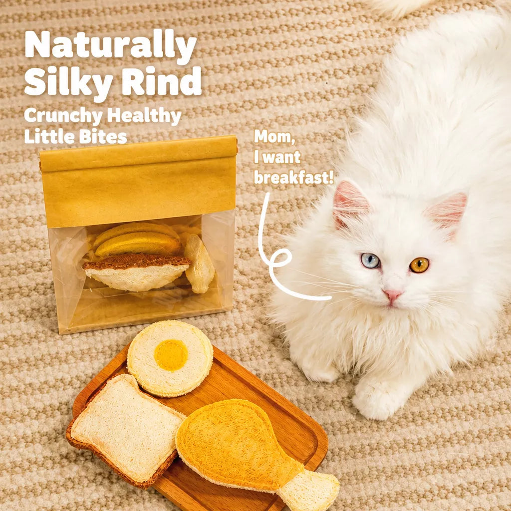 Loofah Cat Toy with Catnip
