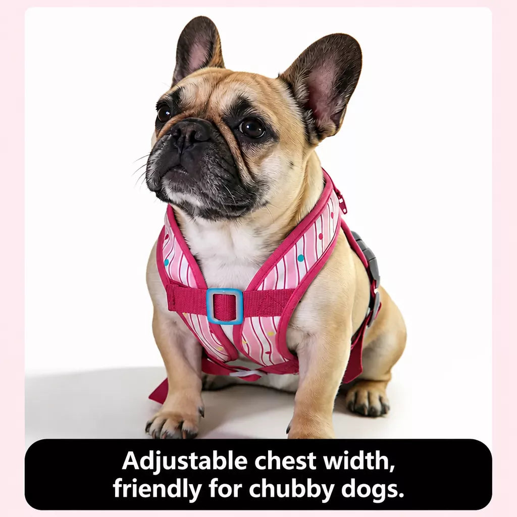 Polyester Dog Harness and Leash Set for Everyday Walks