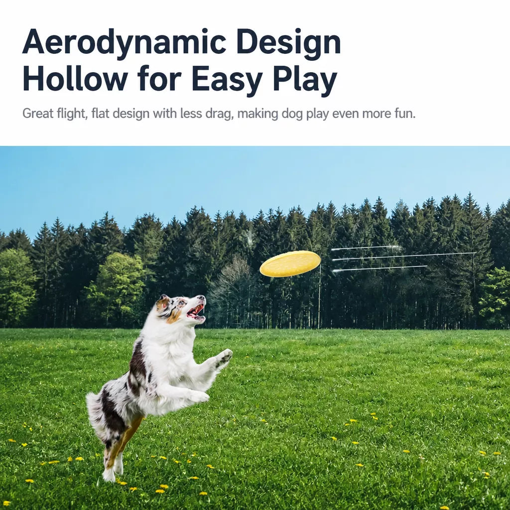 Soft TPR Disc Dog Toy for Outdoor Training