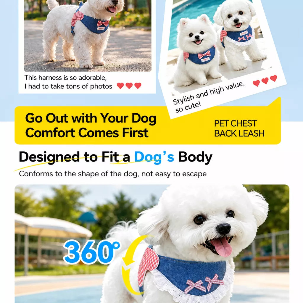 Small and Medium Dog Harness with 4.9 ft Leash