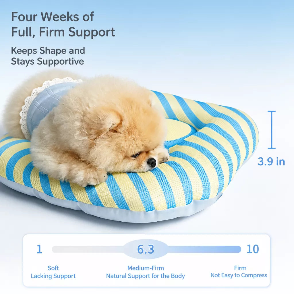Removable Washable All-Season Pet Bed for Cats & Dogs