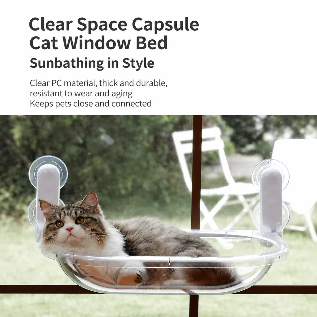 Transparent Foldable Cat Window Bed