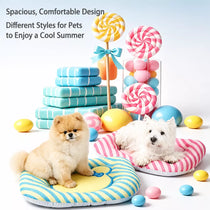 Removable Washable All-Season Pet Bed for Cats & Dogs