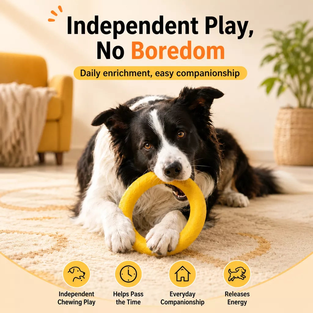 Silicone Ring Fetch and Tug Toy for Dogs