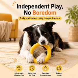 Silicone Ring Fetch and Tug Toy for Dogs