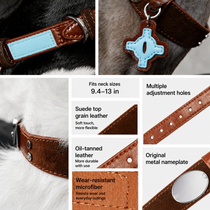 Brown Faux Leather Dog Collar with Blue Accent Charm