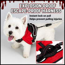 Breathable Demon & Angel Wing Dog Harness with Optional Leash