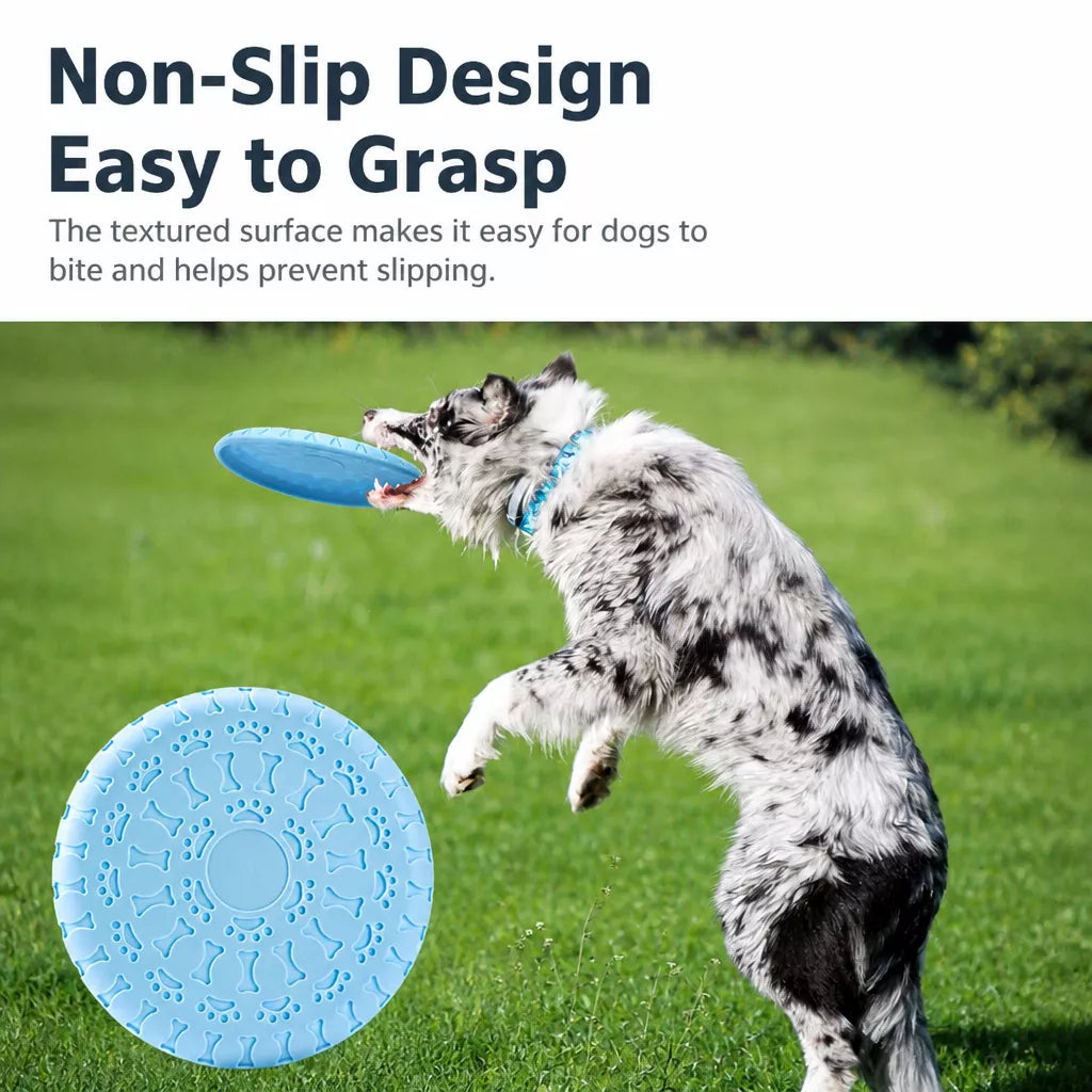 Soft TPR Disc Dog Toy for Outdoor Training