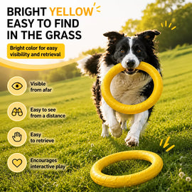 Silicone Ring Fetch and Tug Toy for Dogs
