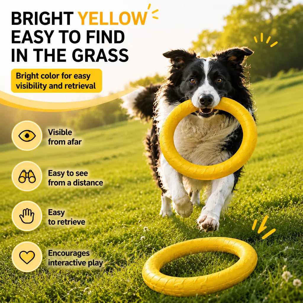 Silicone Ring Fetch and Tug Toy for Dogs