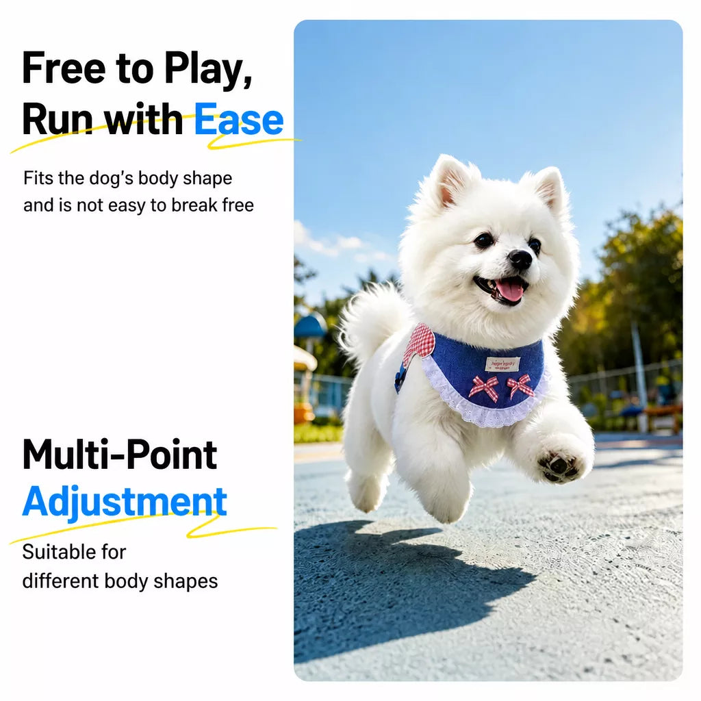 Small and Medium Dog Harness with 4.9 ft Leash