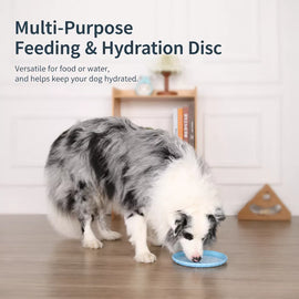 Soft TPR Disc Dog Toy for Outdoor Training