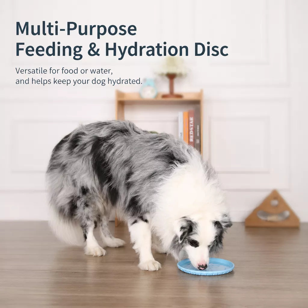 Soft TPR Disc Dog Toy for Outdoor Training