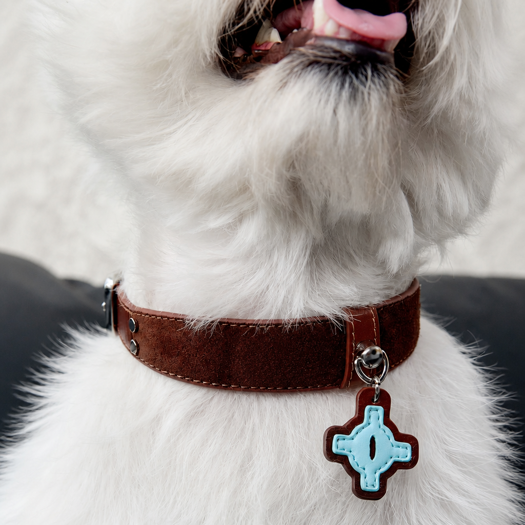 Brown Faux Leather Dog Collar with Blue Accent Charm