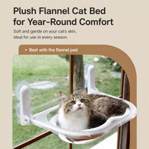 Transparent Foldable Cat Window Bed