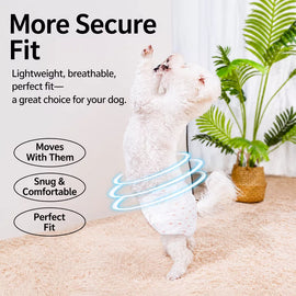 Disposable Dog Diapers for Male and Female Dogs