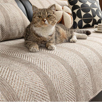 Cat resting on the neutral couch cover