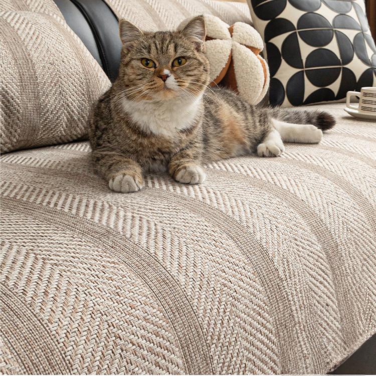 Cat resting on the neutral couch cover