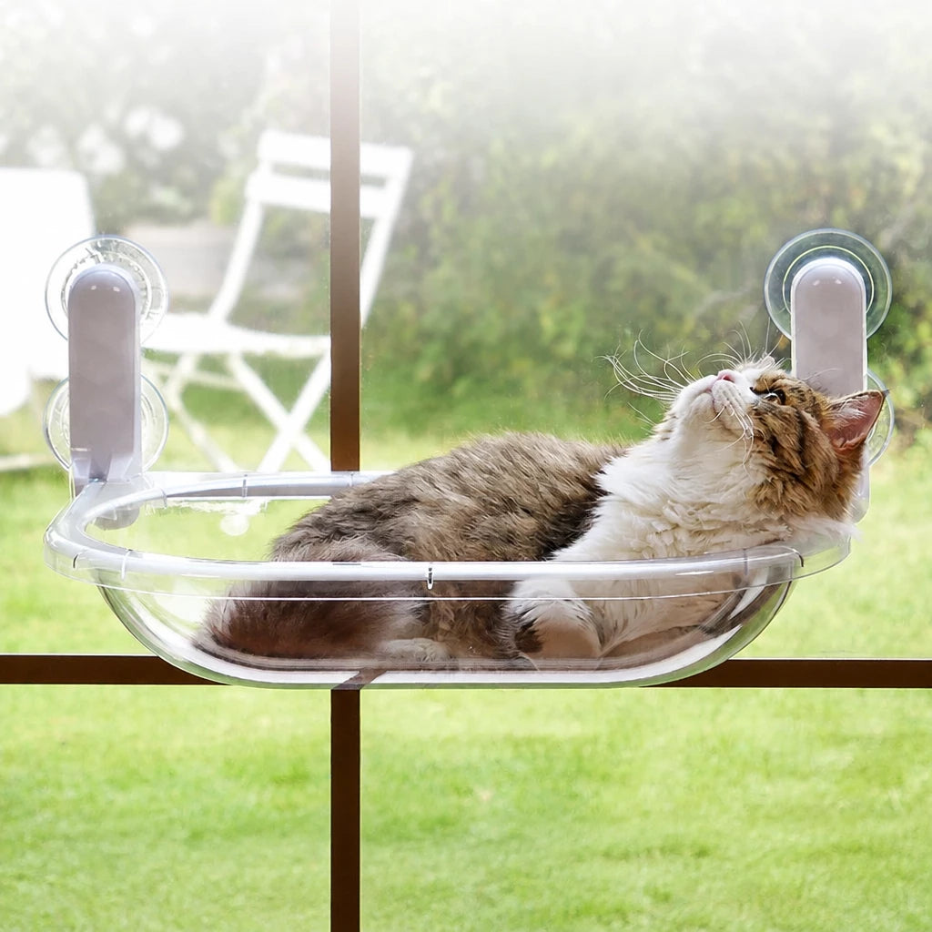 Transparent Foldable Cat Window Bed