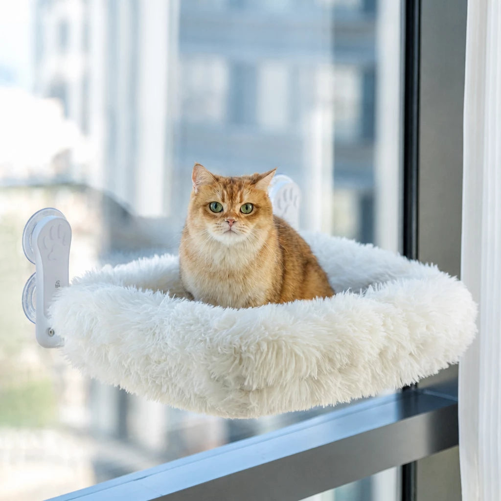 Cat Window Hammock Bed with Suction Cups