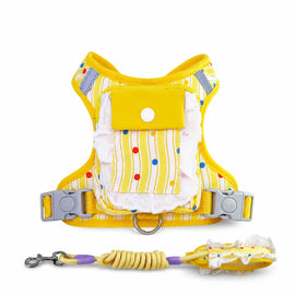 Polyester Dog Harness and Leash Set for Everyday Walks