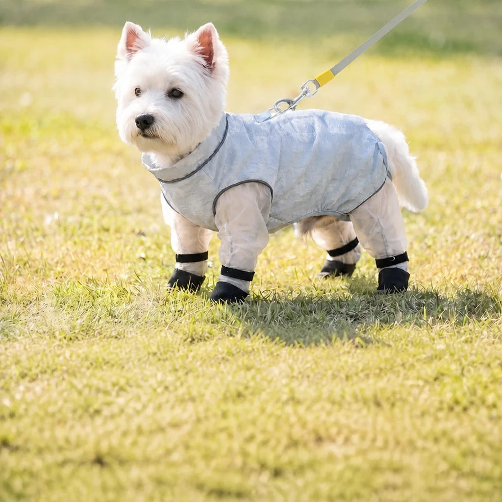 Lightweight Mesh Four-Leg Dog Coverall