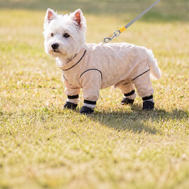 Lightweight Mesh Four-Leg Dog Coverall