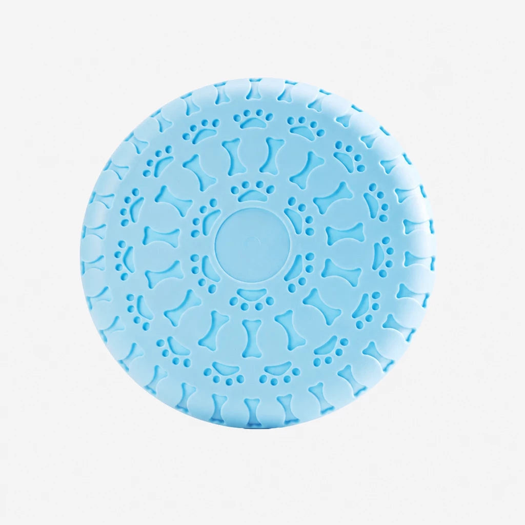 Soft TPR Disc Dog Toy for Outdoor Training