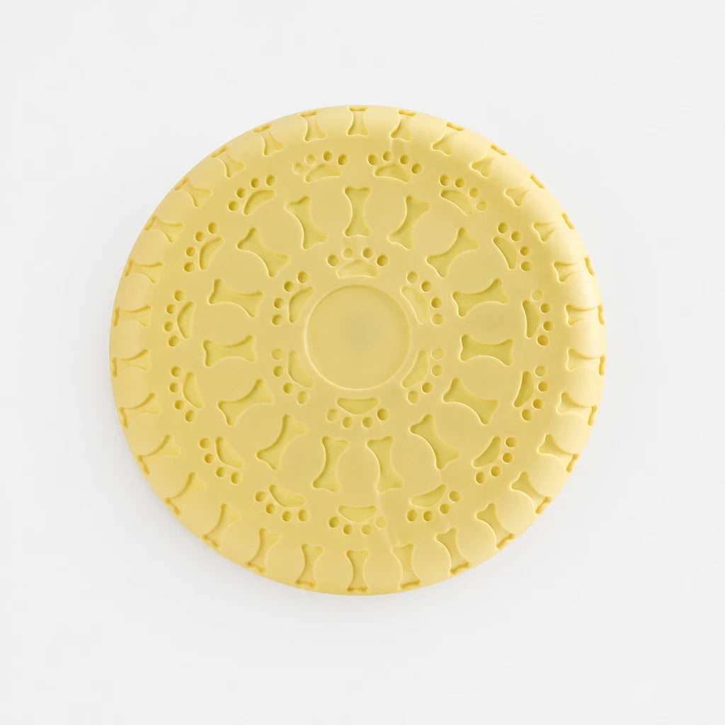 Soft TPR Disc Dog Toy for Outdoor Training