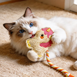 Loofah Cat Toy with Catnip