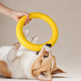 Silicone Ring Fetch and Tug Toy for Dogs