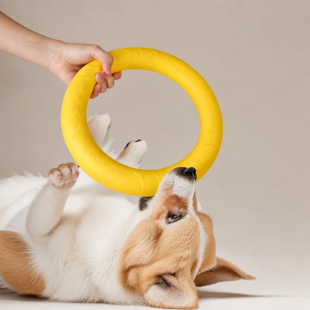 Silicone Ring Fetch and Tug Toy for Dogs