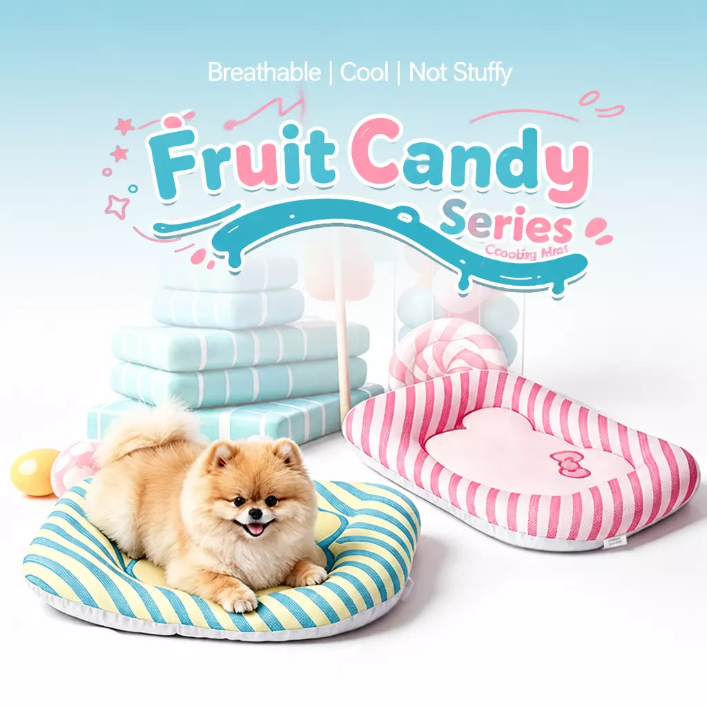 Removable Washable All-Season Pet Bed for Cats & Dogs