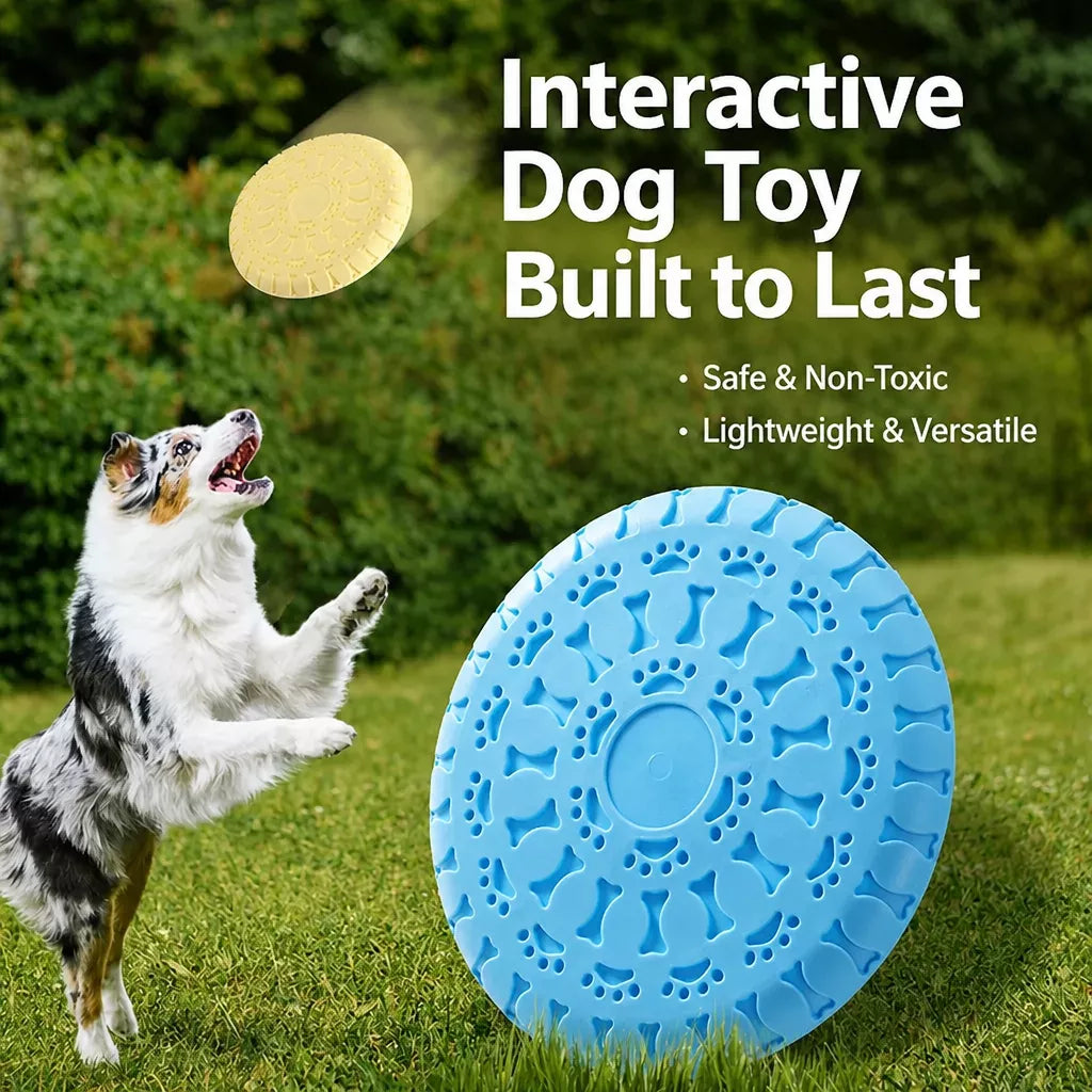 Soft TPR Disc Dog Toy for Outdoor Training